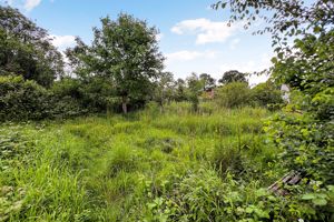 Photo 8- click for photo gallery